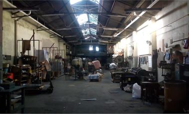 Galpón 500m2 S/lote 8,66x43 Con Trifasica Y Gas