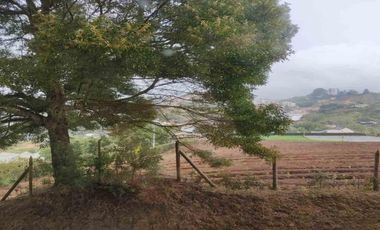 APARTAMENTO EN VENTA UBICADO EN MARINILLA SECTOR RETORNO 17