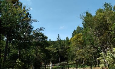 CASA AMPLIA DE 4 HECTAREAS CON PISCINA EN ALTOS DEL MARIA
