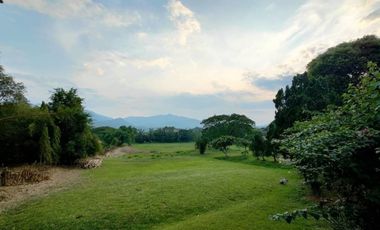 Land for sale in Rim Tai, Chiang Mai
