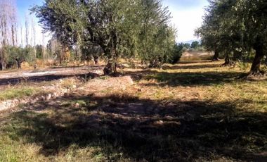 VENTA DE TERRENOS ÚNICOS EN CALLE BRUNO MORÓN, COQUIMBITO-MAIPÚ
