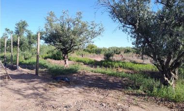 VENTA DE TERRENOS ÚNICOS EN CALLE BRUNO MORÓN, COQUIMBITO-MAIPÚ
