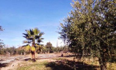 VENTA DE TERRENOS ÚNICOS EN CALLE BRUNO MORÓN, COQUIMBITO-MAIPÚ