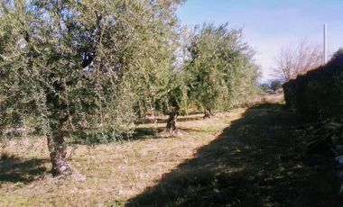 VENTA DE TERRENOS ÚNICOS EN CALLE BRUNO MORÓN, COQUIMBITO-MAIPÚ