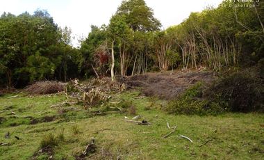 Sitio en Venta en Campo 