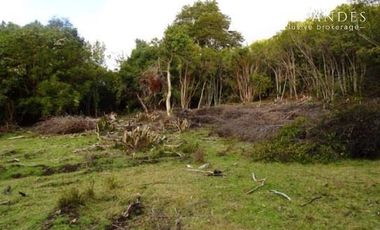 Sitio en Venta en Campo 