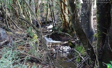 Sitio en Venta en Campo 