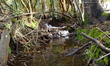 Sitio en Venta en Campo 