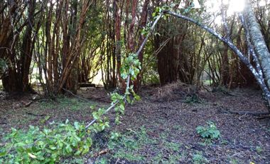 Sitio en Venta en Campo 