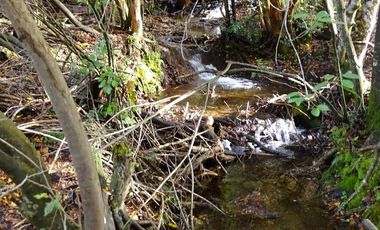 Sitio en Venta en Campo 