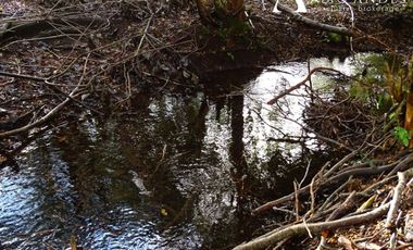 Sitio en Venta en Campo 