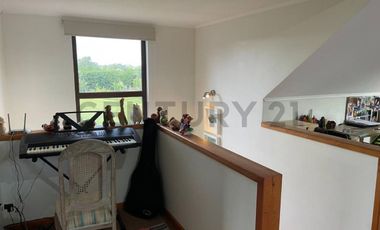 Hermosa parcela Sector Pumalal , Arboles nativos y jardines listos