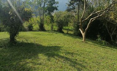 Venta finca Santo Domingo Antioquia