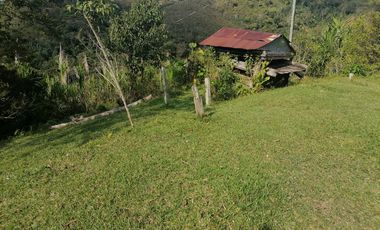 Venta finca Santo Domingo Antioquia