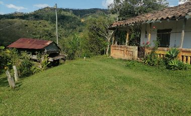 Venta finca Santo Domingo Antioquia