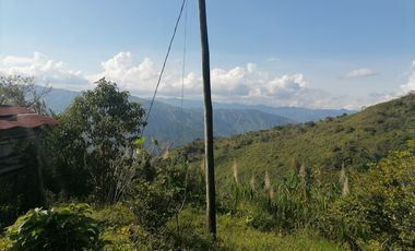 Venta finca Santo Domingo Antioquia