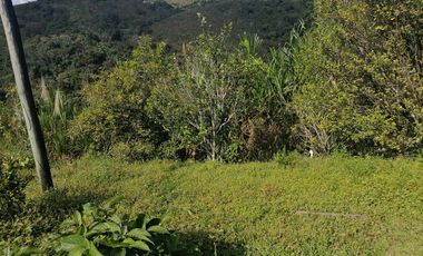 Venta finca Santo Domingo Antioquia
