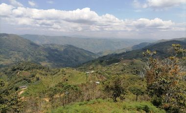 Venta finca Santo Domingo Antioquia
