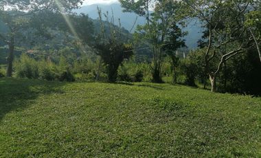 Venta finca Santo Domingo Antioquia