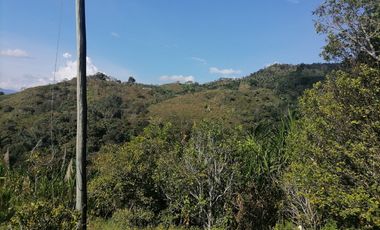 Venta finca Santo Domingo Antioquia