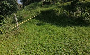 Venta finca Santo Domingo Antioquia