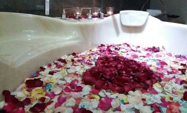 Boutique Hotel Mewah Murah,Berkonsep Joglo Jawa di Yogya