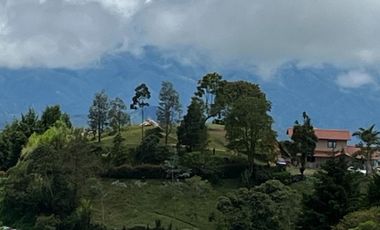 finca en venta en palmitas. Cod V13570