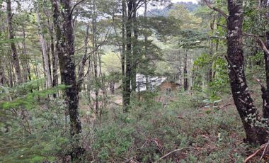 PARCELA DE  5.000 MTS CON 2 CABAÑAS EN SECTOR DE HUINCACARA,