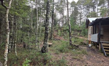 PARCELA DE  5.000 MTS CON 2 CABAÑAS EN SECTOR DE HUINCACARA,