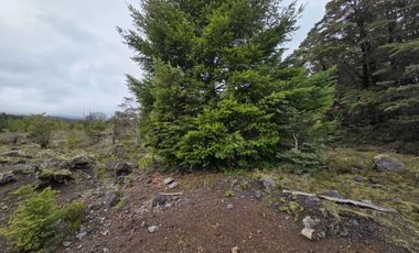 PARCELA DE  5.000 MTS CON 2 CABAÑAS EN SECTOR DE HUINCACARA,