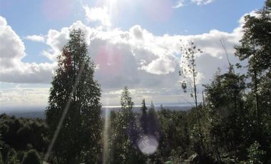 Parcela en venta en Puerto Varas