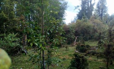 Parcela en venta en Puerto Varas