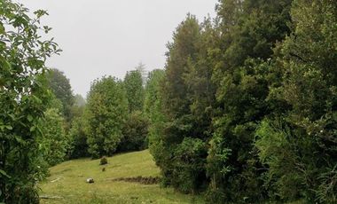 Parcela en venta en Puerto Varas