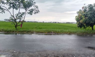 Tanah Dekat Paragon Mall Solo