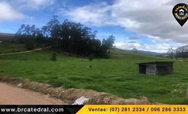 Terreno de venta en Tarqui - Rosa de Oro – código:18645