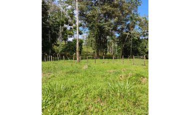 VENDO 10 HECTAREAS CON AGUA BOCAS DEL TORO