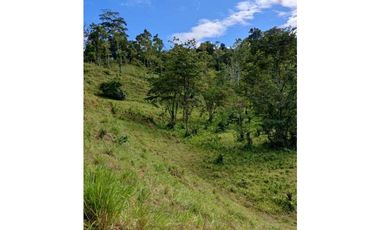 VENDO 10 HECTAREAS CON AGUA BOCAS DEL TORO
