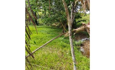 VENDO 10 HECTAREAS CON AGUA BOCAS DEL TORO