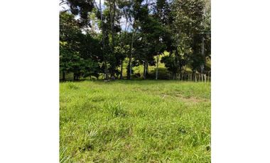 VENDO 10 HECTAREAS CON AGUA BOCAS DEL TORO
