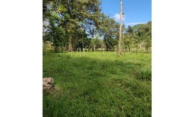 VENDO 10 HECTAREAS CON AGUA BOCAS DEL TORO