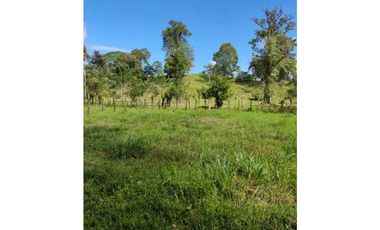 VENDO 10 HECTAREAS CON AGUA BOCAS DEL TORO