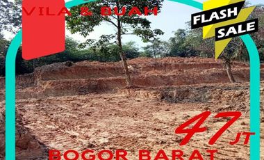 KAVLING TANAH VILA DAN BUAH MURAH AGROHILLS DI BOGOR (PROMO)