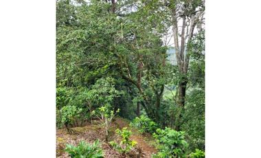 Estupenda oportunidad en Boquete! Se vende preciosa finca súper precio