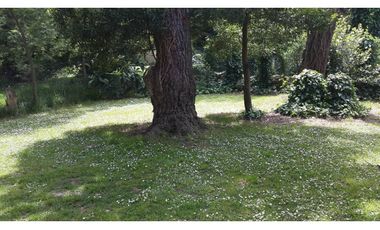 Chalet Bosque de Peralta Ramos