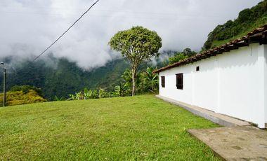 VENTA FINCA EN ANGELOPOLIS, SUROESTE ANTIOQUEÑO