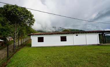 VENTA FINCA EN ANGELOPOLIS, SUROESTE ANTIOQUEÑO