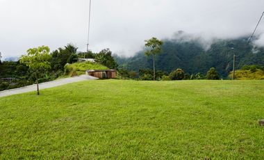 VENTA FINCA EN ANGELOPOLIS, SUROESTE ANTIOQUEÑO