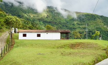 VENTA FINCA EN ANGELOPOLIS, SUROESTE ANTIOQUEÑO