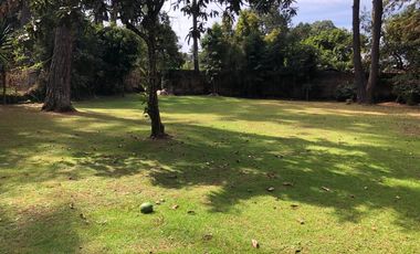 TERRENO EN AVANDARO