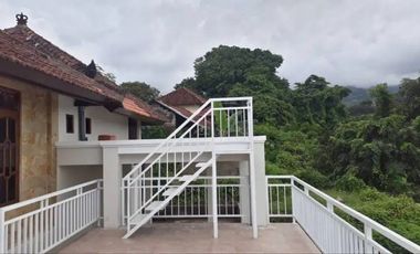 Villa Murah di Daerah Desa Kayu Putih Buleleng